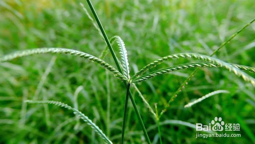 热伤风后推拿和食疗的方法（上）
