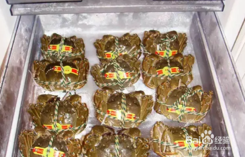 大闸蟹怎样保鲜存活