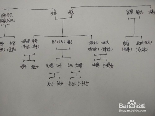 亲戚关系称呼图解