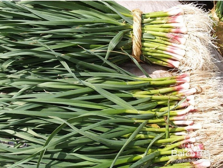 芹菜饺子怎么做好吃