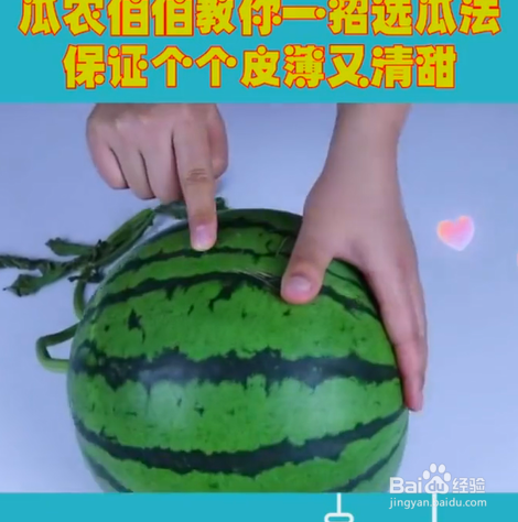 如何挑选西瓜？