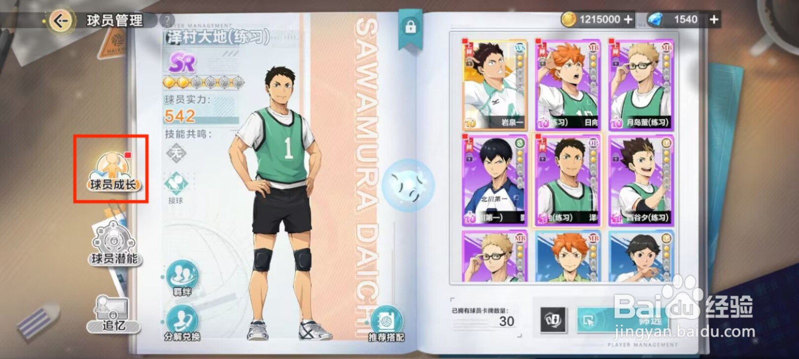 排球少年新的征程如何提升泽村大地等级？