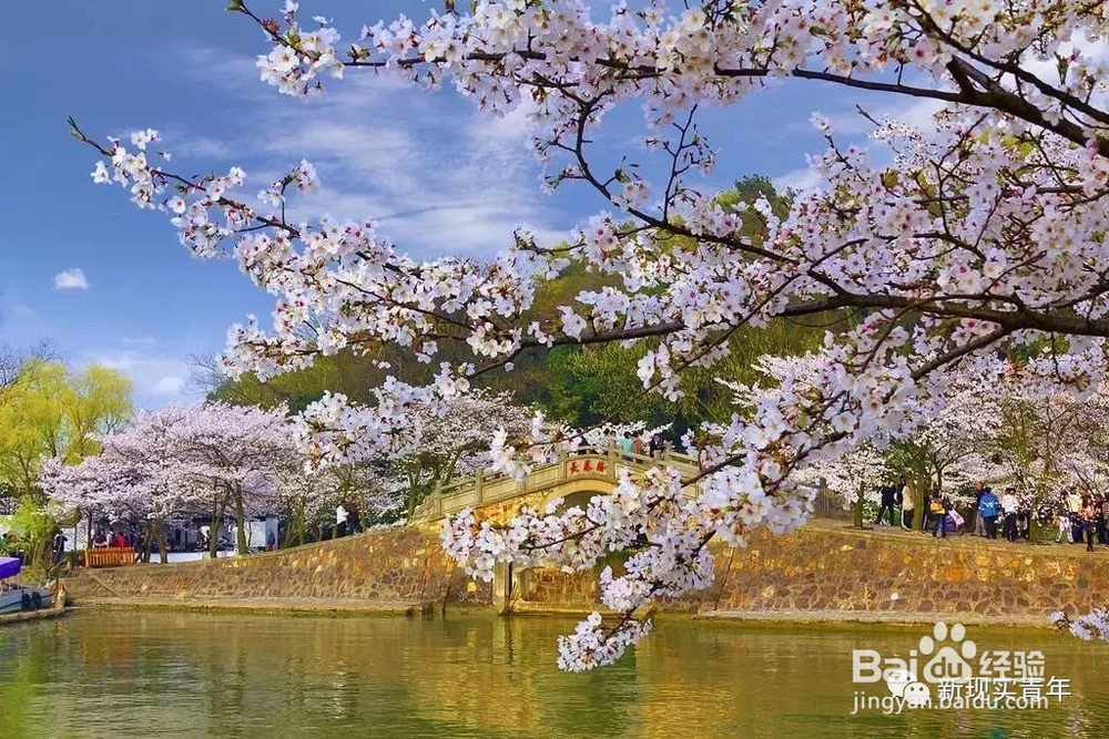 三月份去哪旅游