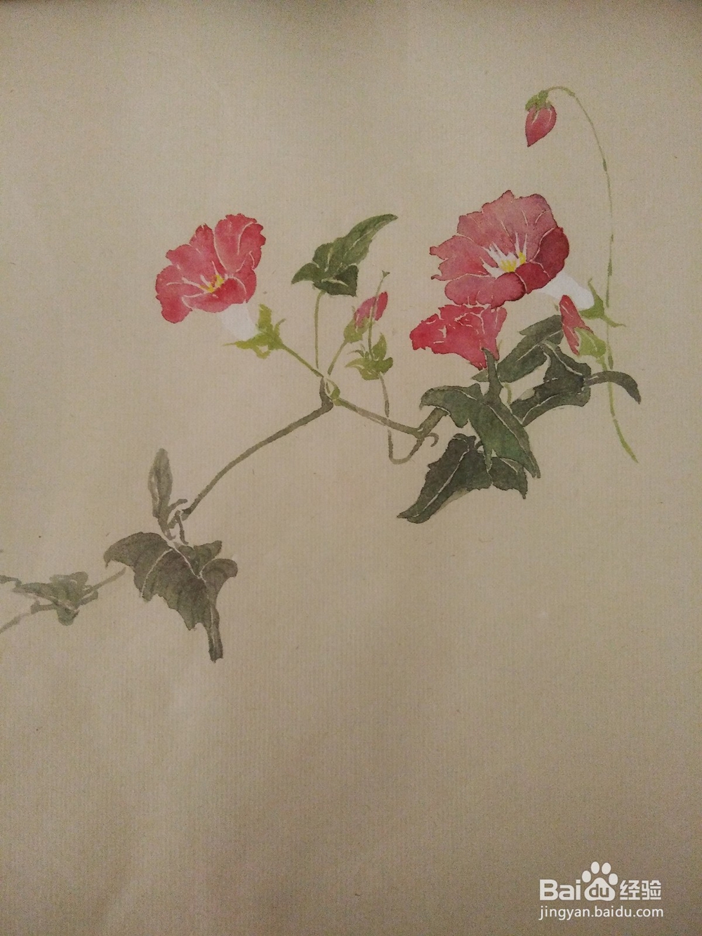 如何用没骨法画缠枝牡丹