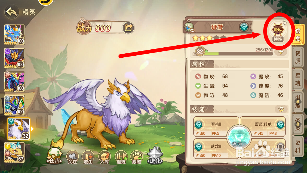 西普大陆狮鹫的【呼风】特性有什么效果？