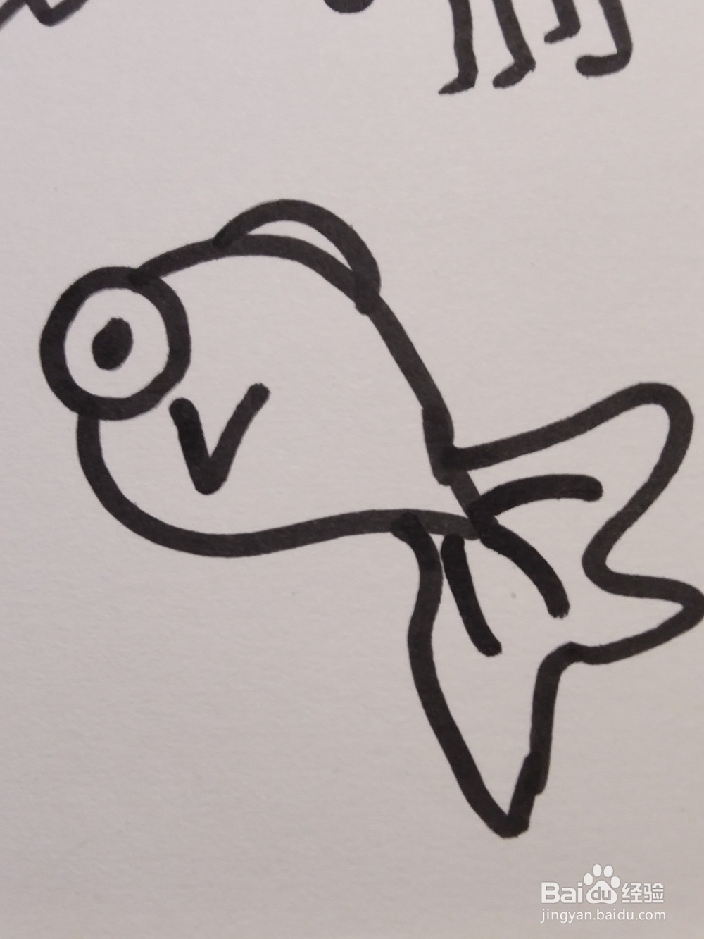 <b>怎么画简笔画卡通动物之小金鱼，快来看看吧</b>