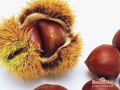 鲜粟子怎么冷冻保存 百度经验