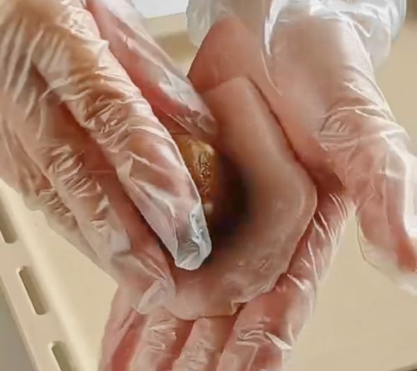 芝士咖啡巧脆珠冰皮月饼