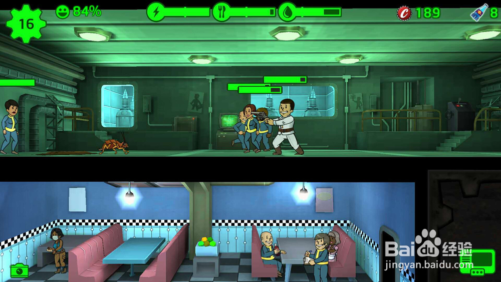 辐射避难所新手注意事项