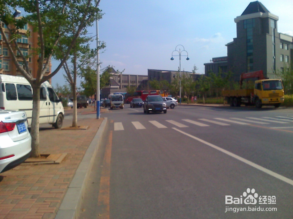 怎样告诉孩子安全过马路--25