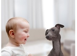 孕早期饮食原则