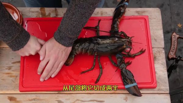 柠檬黄油烤加拿大龙虾