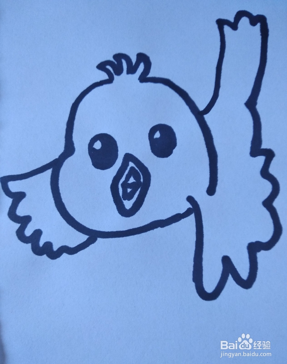 动物简笔画之小鸟简笔画