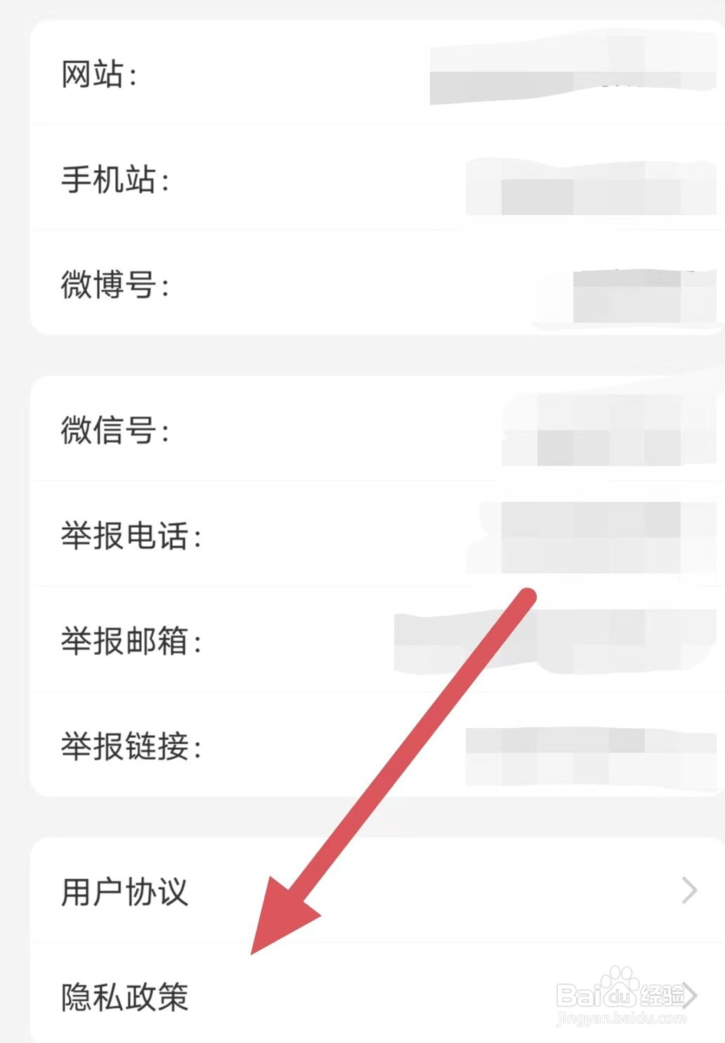 观察者如何查看隐私政策