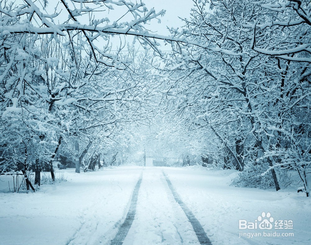 电子汽车衡时要注意哪些细节呢?