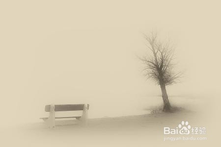 怎么安静的做一个美男子