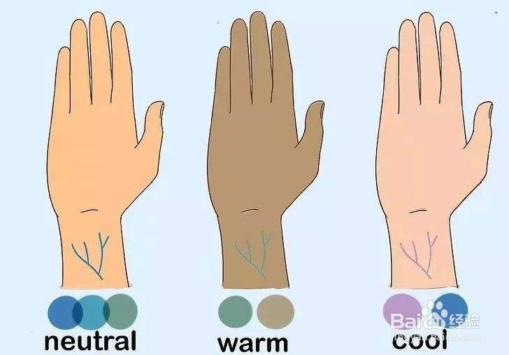 冷调和暖调皮肤怎么区分