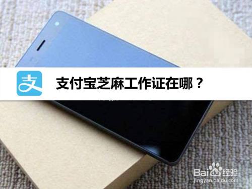 支付宝芝麻工作证在哪