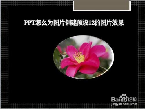 PPT怎么为图片创建预设12的图片效果