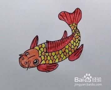 <b>简笔画：锦鲤（涂色）</b>