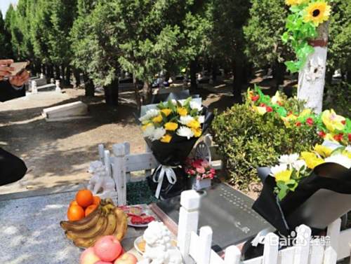 清明节的现代活动 习俗有哪些 百度经验
