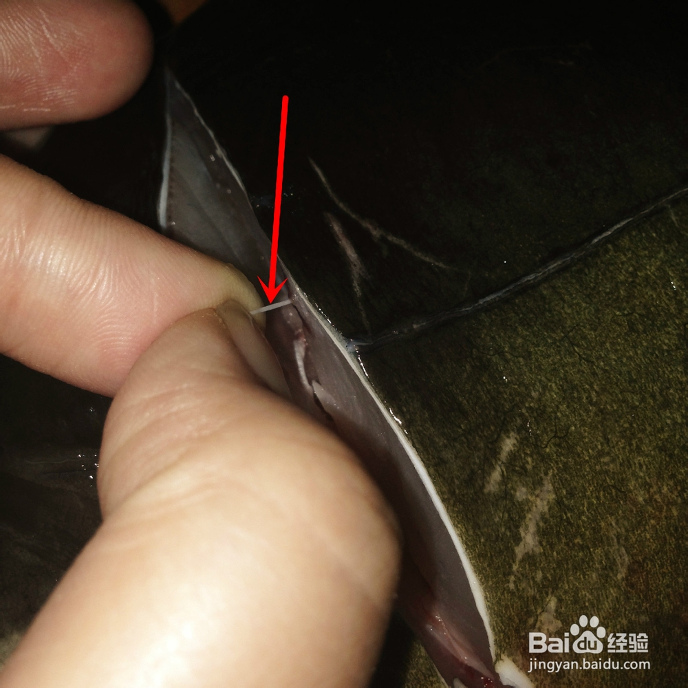 吃鲤鱼如何给鲤鱼抽筋?