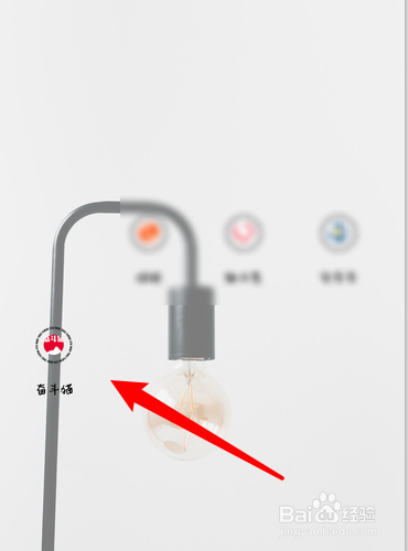 奋斗猫怎么查看版本？