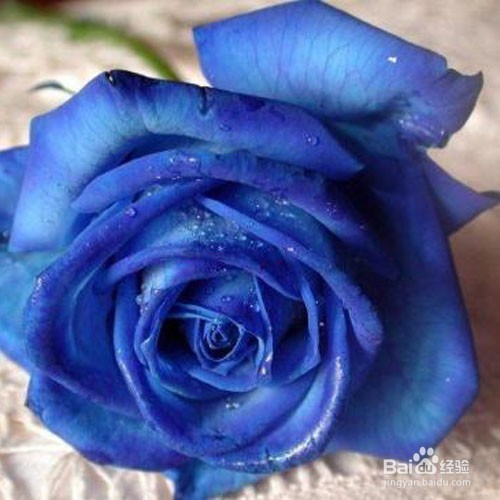 如何让香味持久一整天