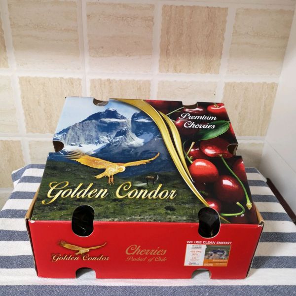 党参黄芪桂圆红枣枸杞鸭腿汤