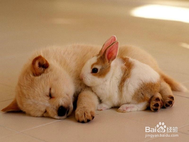 有小孩的家庭要注意的那些事儿