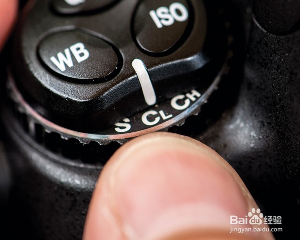 相机拍摄飞鸟技巧