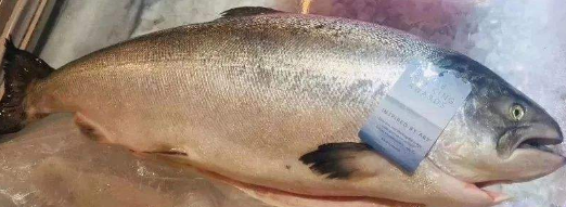 鱼油怎么弄不腥