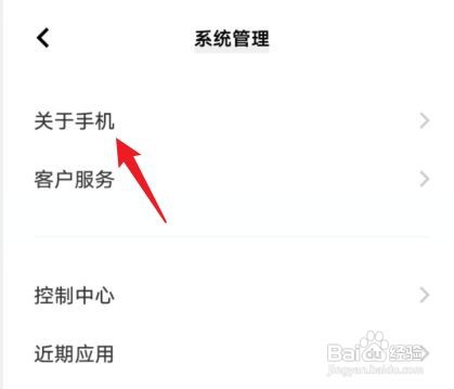vivoS12手机如何查找mac地址
