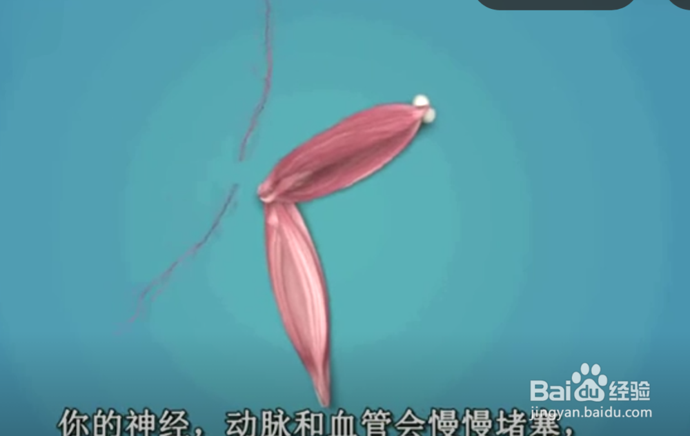 久坐对身体有哪些危害