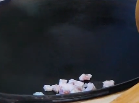 怎么做好吃的肉片炒苦瓜