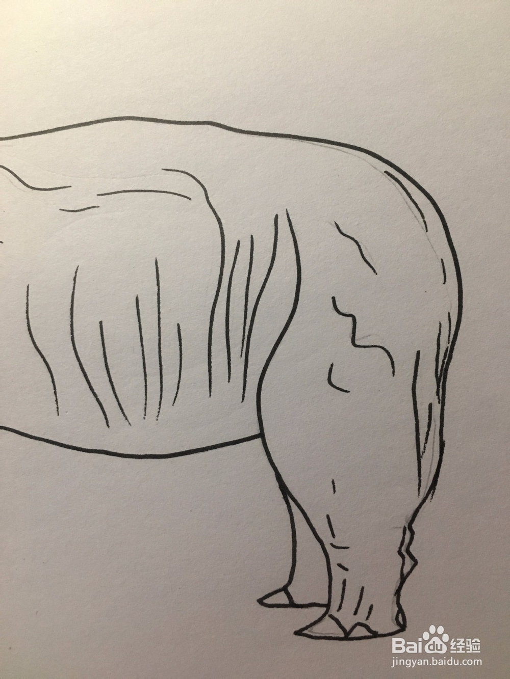 画一只犀牛 犀牛简笔画 幼儿绘画 儿童绘画