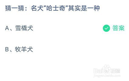 蚂蚁庄园我国哪个菜系擅长