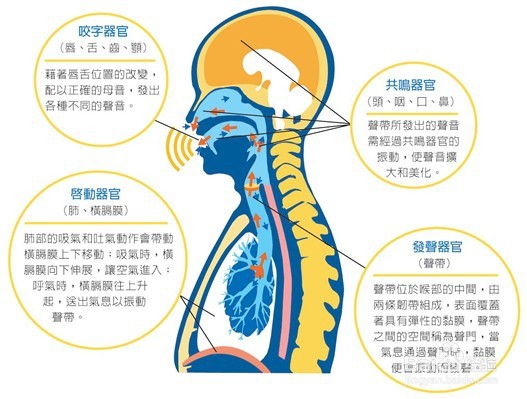 成年人如何学好美式英语?