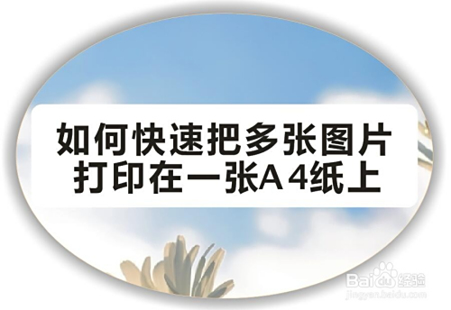 如何快速把多张图片打印在一张a4纸上