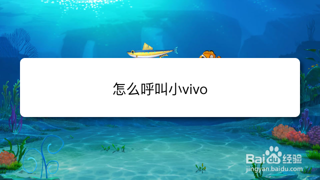 <b>怎么呼叫小vivo</b>