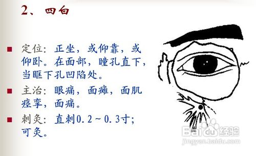 中医经络知识之足阳明胃经图解