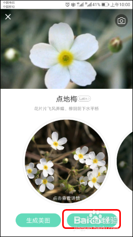使用识花APP【形色】识别各种植物、花草、果蔬