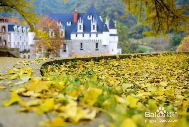 领略川藏线上的美丽风景