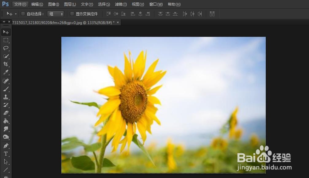 PS如何调整图像大小