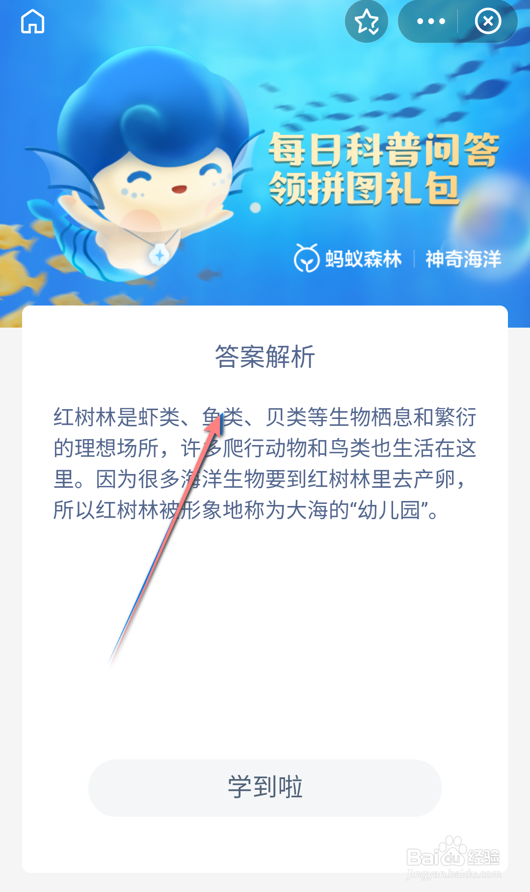 神奇海洋红树林被称为大海的幼儿园主要是因为