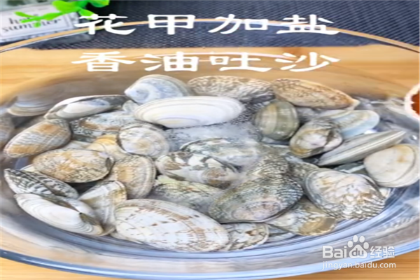 花甲粉丝怎么做