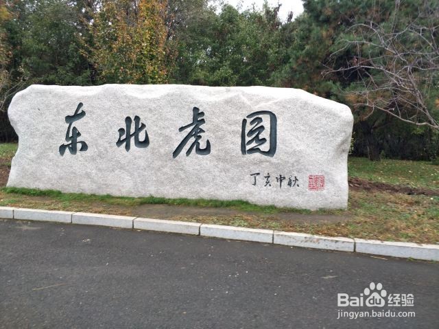 长春东北虎园攻略