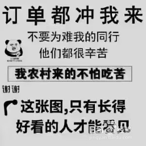 爆款猫：各类关键词的详细词解读