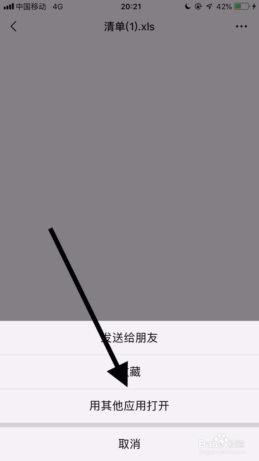 苹果手机怎么打开xls格式文件