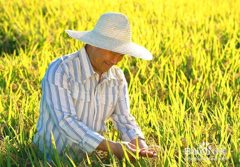 如何做好新零售